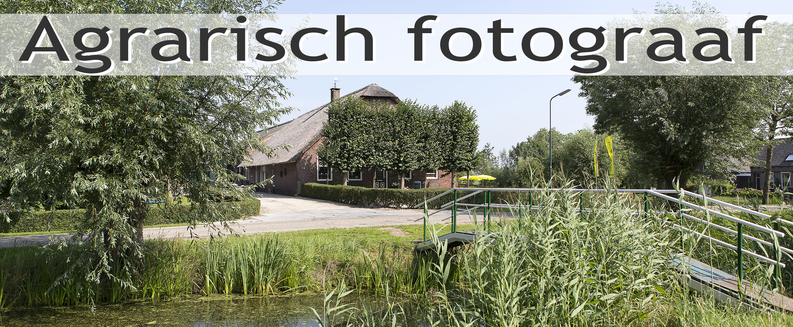 kaasboerderij van Schie